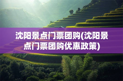 沈阳景点门票团购(沈阳景点门票团购优惠政策)