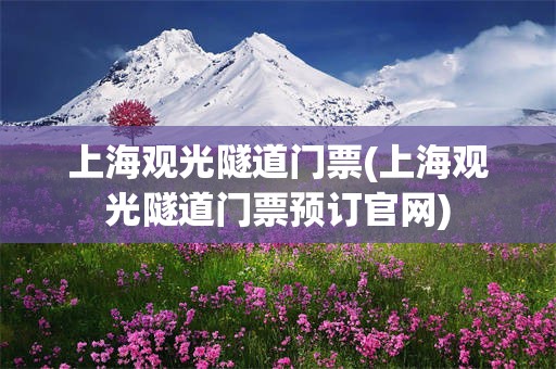 上海观光隧道门票(上海观光隧道门票预订官网)