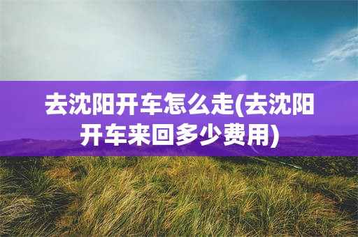 去沈阳开车怎么走(去沈阳开车来回多少费用)