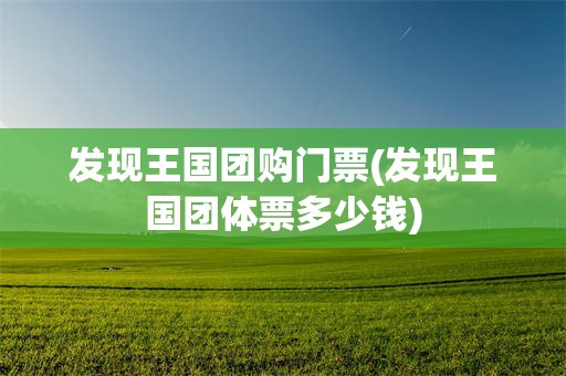 发现王国团购门票(发现王国团体票多少钱)