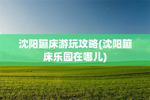 沈阳蹦床游玩攻略(沈阳蹦床乐园在哪儿)