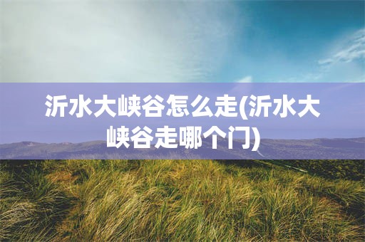 沂水大峡谷怎么走(沂水大峡谷走哪个门)