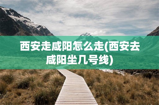 西安走咸阳怎么走(西安去咸阳坐几号线)