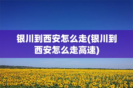 银川到西安怎么走(银川到西安怎么走高速)