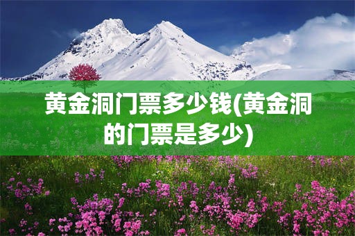 黄金洞门票多少钱(黄金洞的门票是多少)