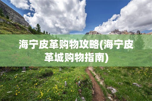 海宁皮革购物攻略(海宁皮革城购物指南)