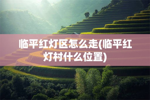 临平红灯区怎么走(临平红灯村什么位置)