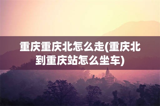 重庆重庆北怎么走(重庆北到重庆站怎么坐车)