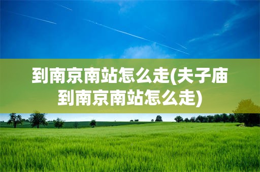 到南京南站怎么走(夫子庙到南京南站怎么走)