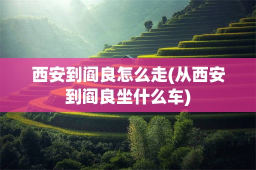 西安到阎良怎么走(从西安到阎良坐什么车)