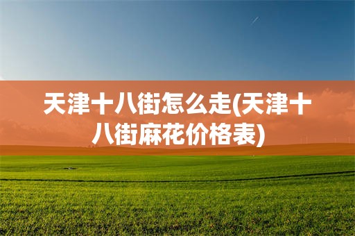 天津十八街怎么走(天津十八街麻花价格表)