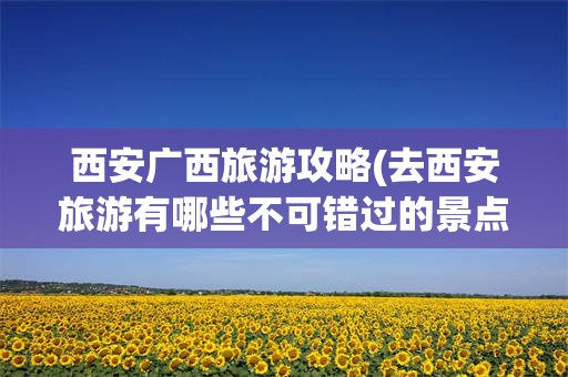 西安广西旅游攻略(去西安旅游有哪些不可错过的景点)