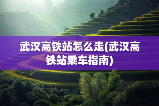 武汉高铁站怎么走(武汉高铁站乘车指南)