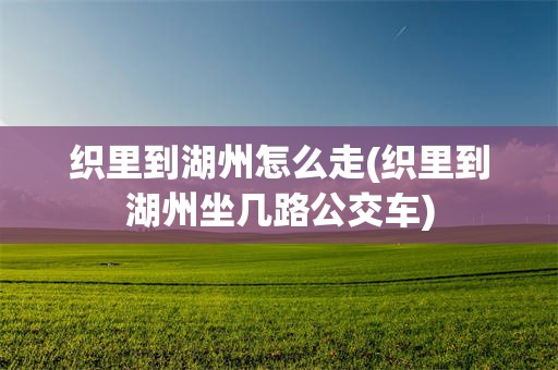 织里到湖州怎么走(织里到湖州坐几路公交车)