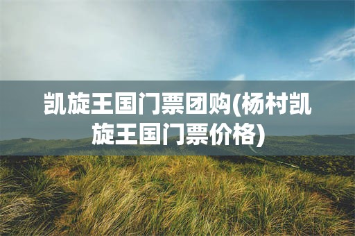 凯旋王国门票团购(杨村凯旋王国门票价格)