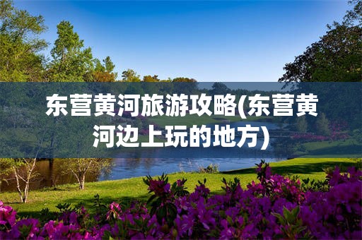 东营黄河旅游攻略(东营黄河边上玩的地方)