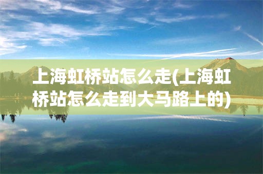 上海虹桥站怎么走(上海虹桥站怎么走到大马路上的)