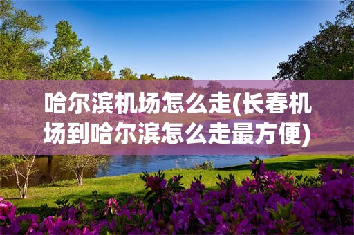 哈尔滨机场怎么走(长春机场到哈尔滨怎么走最方便)