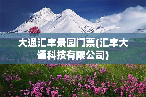 大通汇丰景园门票(汇丰大通科技有限公司)