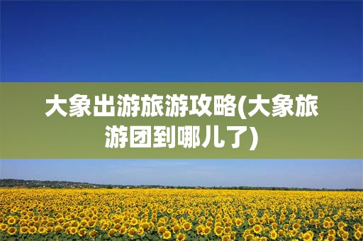 大象出游旅游攻略(大象旅游团到哪儿了)