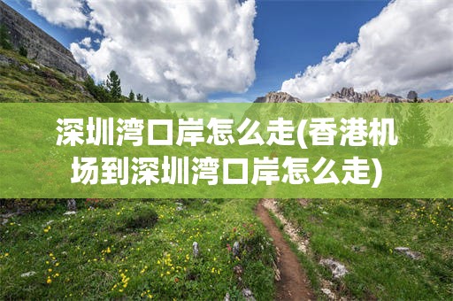 深圳湾口岸怎么走(香港机场到深圳湾口岸怎么走)
