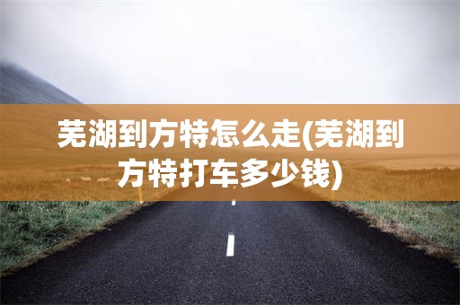 芜湖到方特怎么走(芜湖到方特打车多少钱)