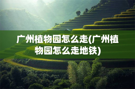 广州植物园怎么走(广州植物园怎么走地铁)