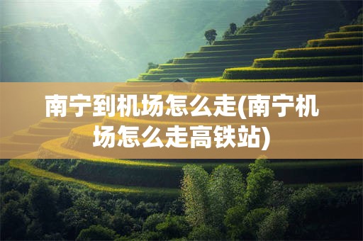 南宁到机场怎么走(南宁机场怎么走高铁站)