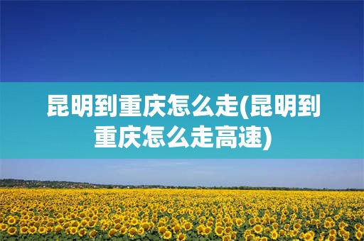 昆明到重庆怎么走(昆明到重庆怎么走高速)