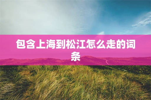 包含上海到松江怎么走的词条