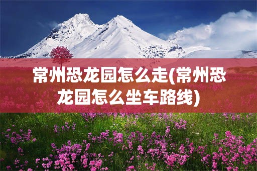 常州恐龙园怎么走(常州恐龙园怎么坐车路线)