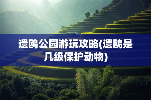 遗鸥公园游玩攻略(遗鸥是几级保护动物)