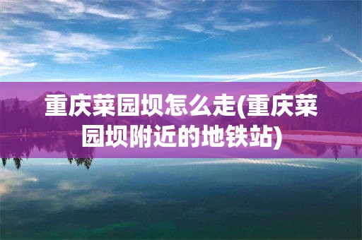 重庆菜园坝怎么走(重庆菜园坝附近的地铁站)