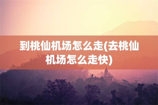 到桃仙机场怎么走(去桃仙机场怎么走快)