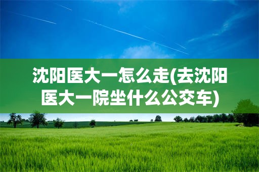 沈阳医大一怎么走(去沈阳医大一院坐什么公交车)