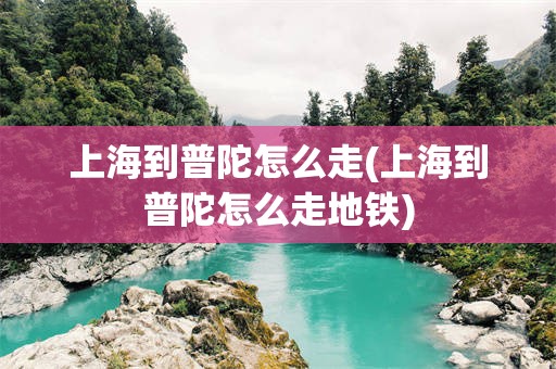 上海到普陀怎么走(上海到普陀怎么走地铁)