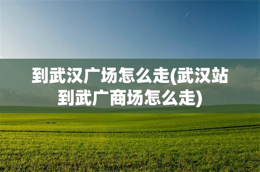 到武汉广场怎么走(武汉站到武广商场怎么走)