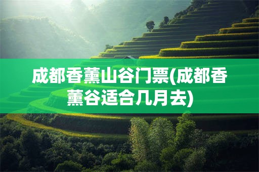 成都香薰山谷门票(成都香薰谷适合几月去)