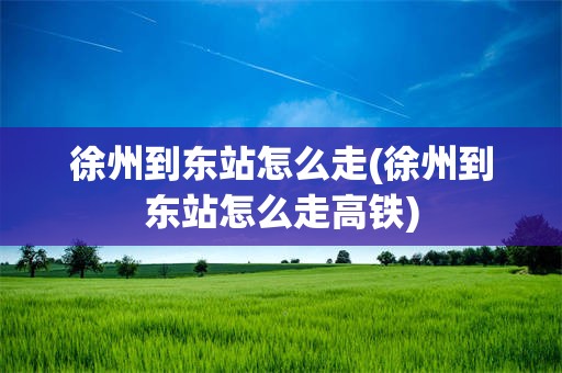 徐州到东站怎么走(徐州到东站怎么走高铁)