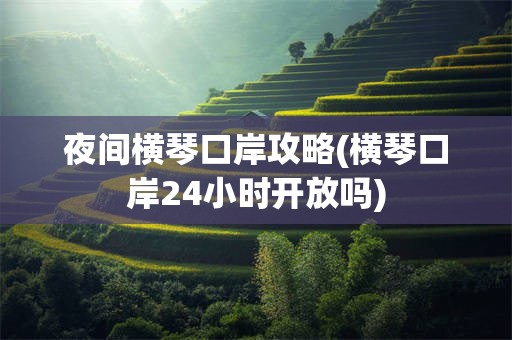 夜间横琴口岸攻略(横琴口岸24小时开放吗)