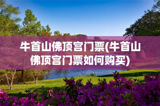 牛首山佛顶宫门票(牛首山佛顶宫门票如何购买)