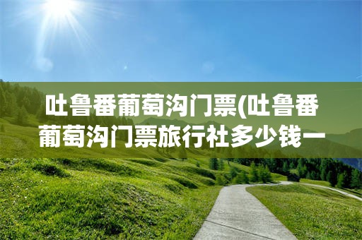 吐鲁番葡萄沟门票(吐鲁番葡萄沟门票旅行社多少钱一张啊)