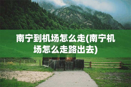 南宁到机场怎么走(南宁机场怎么走路出去)