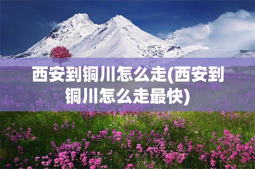 西安到铜川怎么走(西安到铜川怎么走最快)