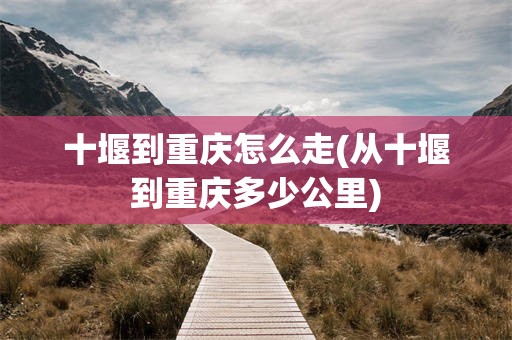 十堰到重庆怎么走(从十堰到重庆多少公里)