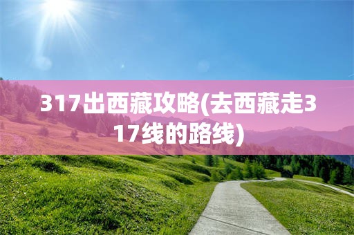 317出西藏攻略(去西藏走317线的路线)