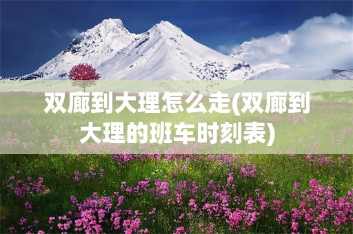 双廊到大理怎么走(双廊到大理的班车时刻表)