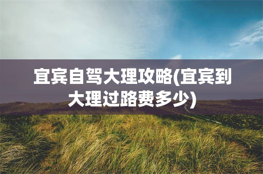 宜宾自驾大理攻略(宜宾到大理过路费多少)