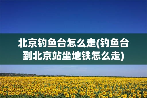 北京钓鱼台怎么走(钓鱼台到北京站坐地铁怎么走)