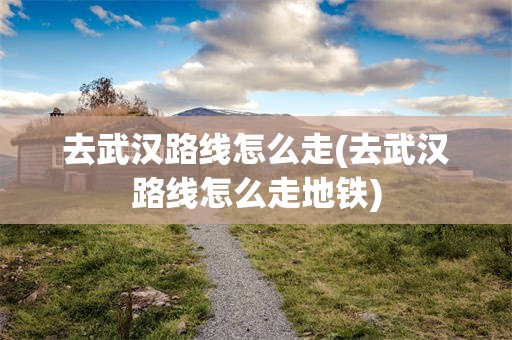 去武汉路线怎么走(去武汉路线怎么走地铁)